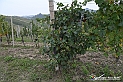 VBS_7878 - Là, dove finisce la strada, comincia un mondo